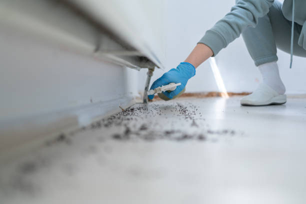 Professional Pest Control in Sand Hill, PA